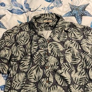Tommy bahama